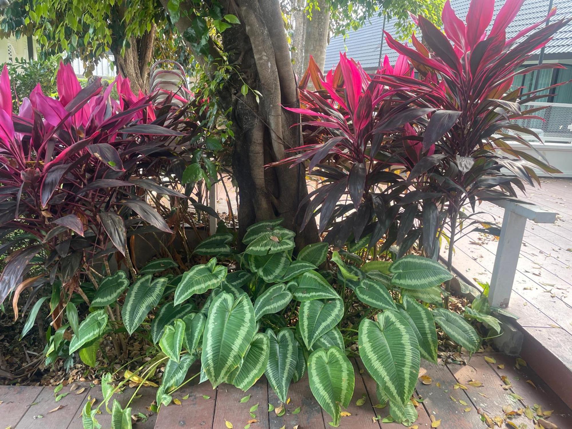 Laph Kham House Chiang Mai